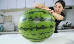 网红大瓜等你来开,大瓜等你来开，独家爆料尽在此处